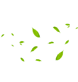 Leaves Falling - background - Free Download PNG