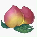 Peach - fresh - nutrition - Lossless PNG