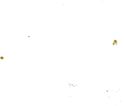 Stars in the Night Sky - nature - PNG