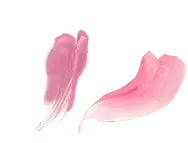 Pink Petals - lightweight - beautiful - High Resolution PNG