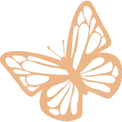 Butterfly - PNG - art