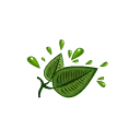 Green Leaf - life - plant - No Watermark PNG