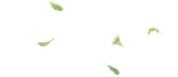 Butterfly - green - Transparent Layer PNG