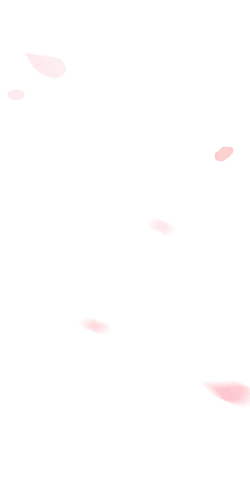 Pink Petals Falling - High Download Count PNG - nature