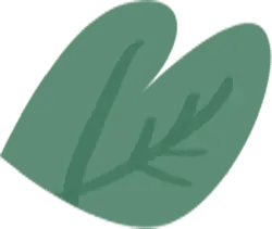 Leaf - Free Download PNG - No Background PNG