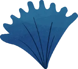 Sea Shell - nature - Transparent Background PNG