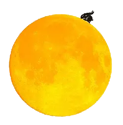 Cat on the Moon - peaceful - High Resolution PNG