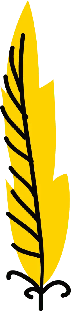 Feather - simple - lightweight - Transparent Background PNG