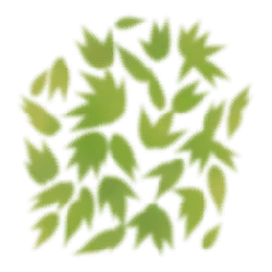 Green Leaves - nature - High Quality PNG