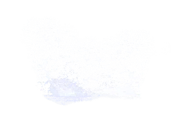 Butterfly - flying - Transparent Background PNG
