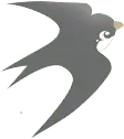 Bat - mammal - Lossless PNG