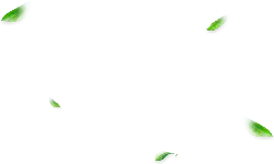 Falling Green Leaves - leaf - Transparent Background PNG