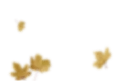 Falling Leaves - peaceful - Designer's Pick PNG