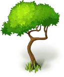 Tree - nature - plant - Free PNG