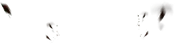 Hands in Black Background - hands - No Watermark PNG