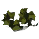 Yellow Leaves Plant - nature - PNG