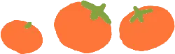 Tomato - circle - Transparent Background PNG