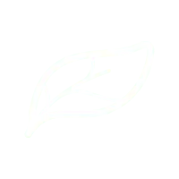 Leaf - Designer's Pick PNG - High Download Count PNG