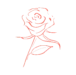 Rose - rose - art - PNG