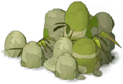 Bamboo - leaves - growth - High Resolution PNG