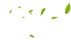 Falling Leaves - falling - Trending PNG