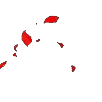 Red Butterfly - red - wings - Lossless PNG