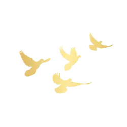 Flying Golden Birds - freedom - PNG