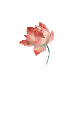 Pink Lotus Flower - pink - lotus - Lossless PNG