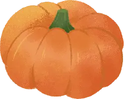 Pumpkin - harvest - High Resolution PNG