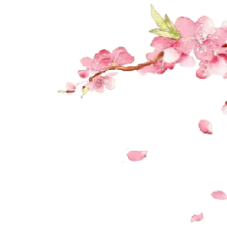 Peach Blossom Branch - High Download Count PNG