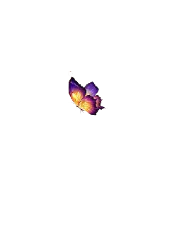 Purple Butterfly - nature - color - No Watermark PNG