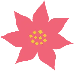 Poinsettia - Lossless PNG