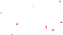 Petals Falling - Designer Recommended PNG