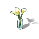 Lily - yellow - white - Lossless PNG