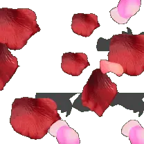 Red Petals - petal - Fast Download PNG