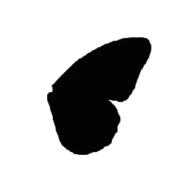 White Arrow on Black Background - Trending PNG