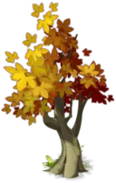 Autumn Tree - tree - Transparent Background PNG