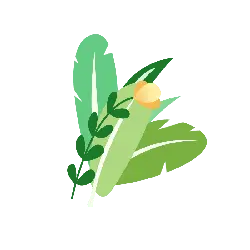Feathers and Plants - nature - No Background PNG