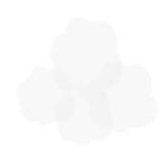 Clover - Lossless PNG - growth