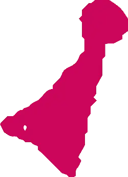 Pink Triangle - Free for Commercial Use PNG