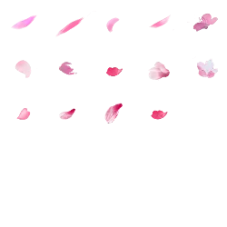 Pink Petals - High Download Count PNG - Free for Commercial Use PNG