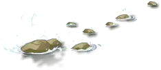 Water Drops - motion - Transparent Background PNG