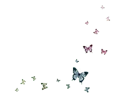 Colorful Butterflies - High Download Count PNG