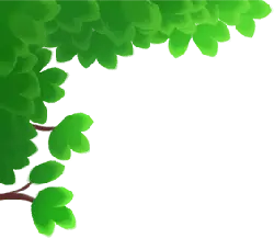 Green Leaves - branch - PNG Images