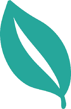 Leaf - environmental protection - Free for Commercial Use PNG
