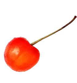 Cherry - eatable - round - Free PNG
