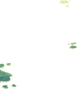 Floating Leaves - peaceful - High Resolution PNG