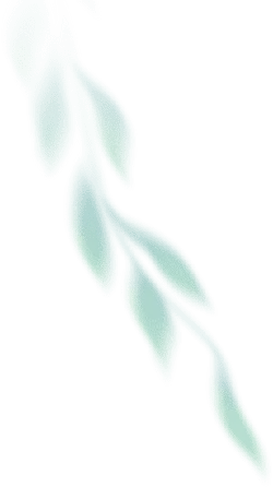 Green Leaf Silhouette - nature - PNG Images