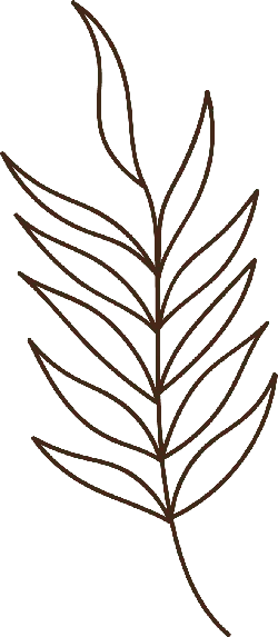 Palm Leaf - line drawing - Lossless PNG