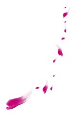 Pink Petals - art - background - Free Download PNG